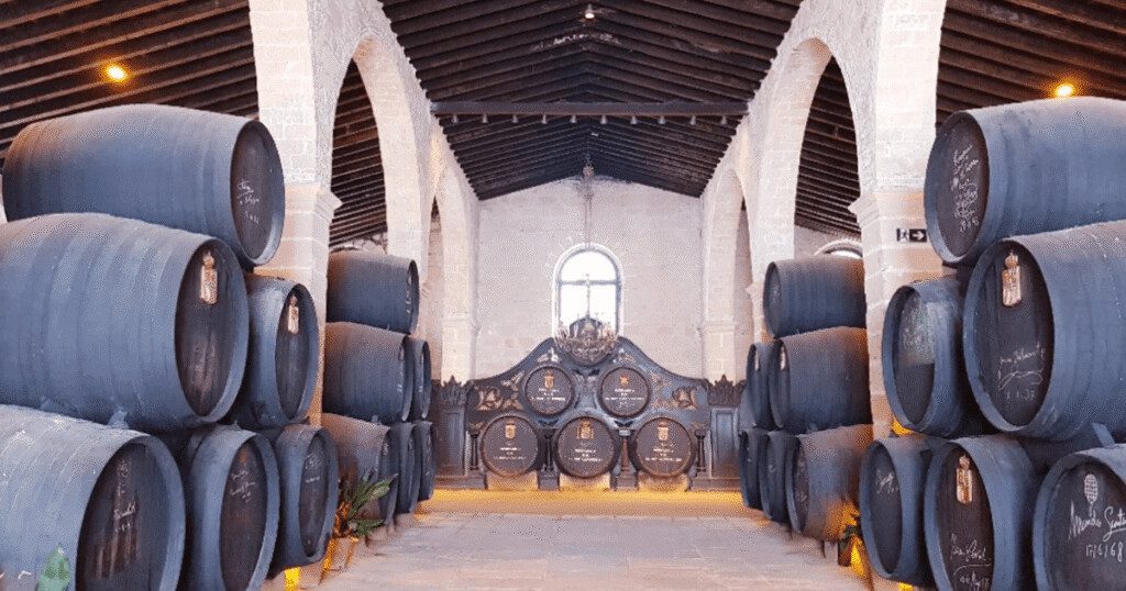 Qué hacer en Tarifa con levante - Jerez