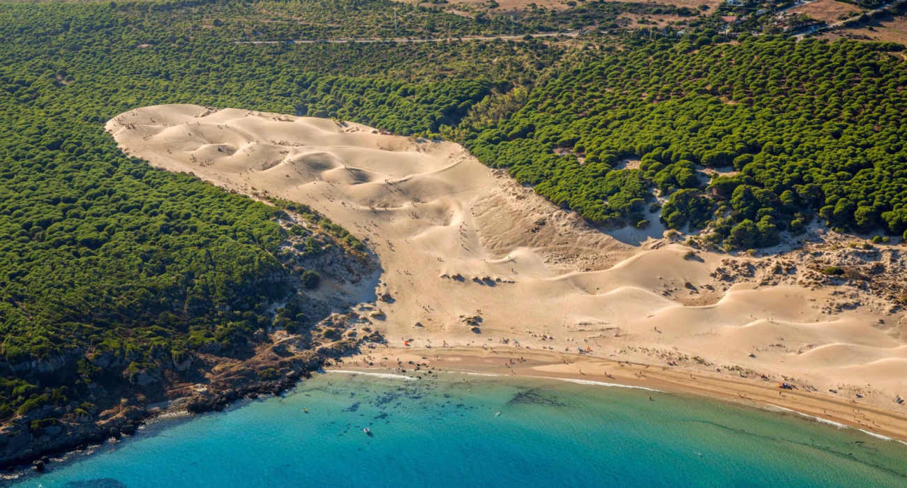 Duna de BOLONIA